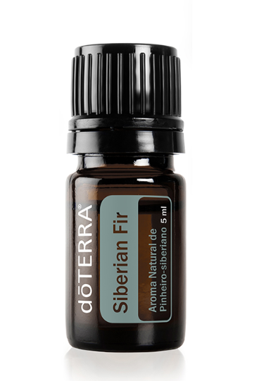 Captura_de_tela_2024-09-20_150234_74d1f53c-9fe2-45a0-9050-5eb2bab32883